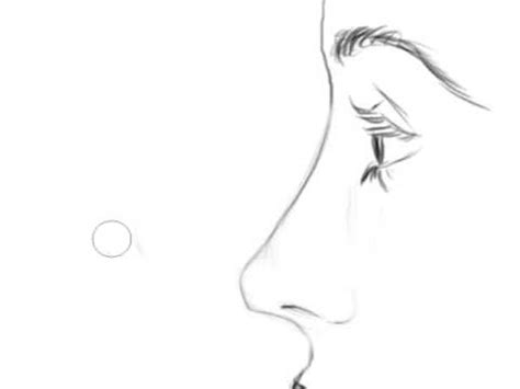 Step by step videos in real time, plus the drawing, reference photo, and materials list provided. How to draw noses NF, step by step audio - YouTube