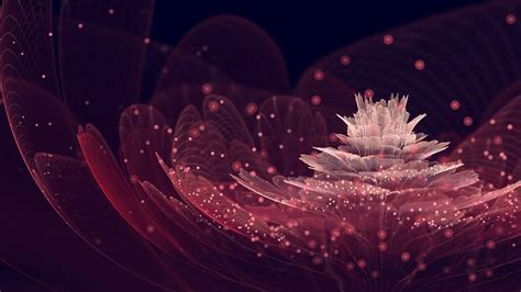 Fractal Fractal Flowers Abstract Petals Bokeh Digital Art Hd Wallpaper