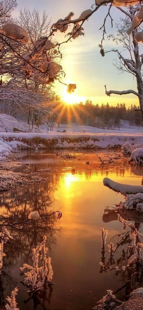 Wallpaper Iphone Winter Snow Forest Trees River Dawn Sunrise P