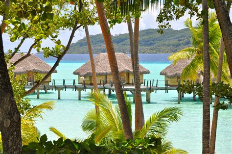 Tahiti Honeymoon Packages 20242025 Turquoise Holidays