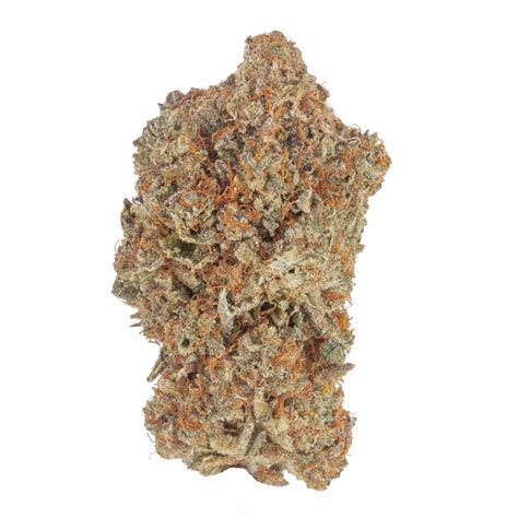 Those vessels strained the beer, preventing drinkers from swallowing husks of the barley from which it was brewed. Gushers Strain | Marijuana Strains | Order Gushers Online Today - Healing Empire