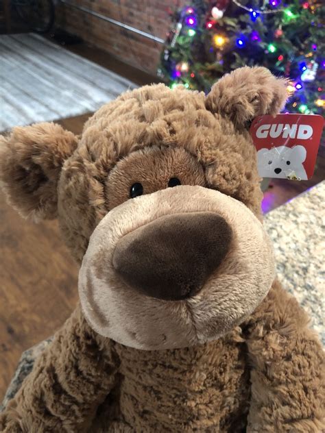 Gund Grahm Teddy Bear Plush Stuffed Animal Brown 18 Ebay
