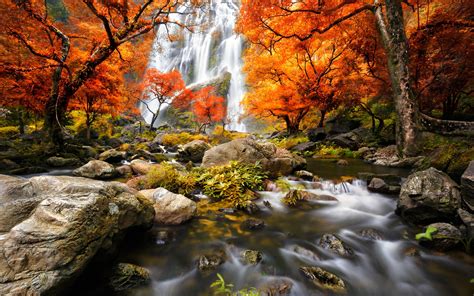Autumn Forest Waterfalls Trees Red Leaves Wallpaper Nature And