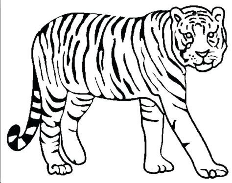 Top 20 tiger coloring pages: Bengal Tiger Coloring Page at GetColorings.com | Free ...