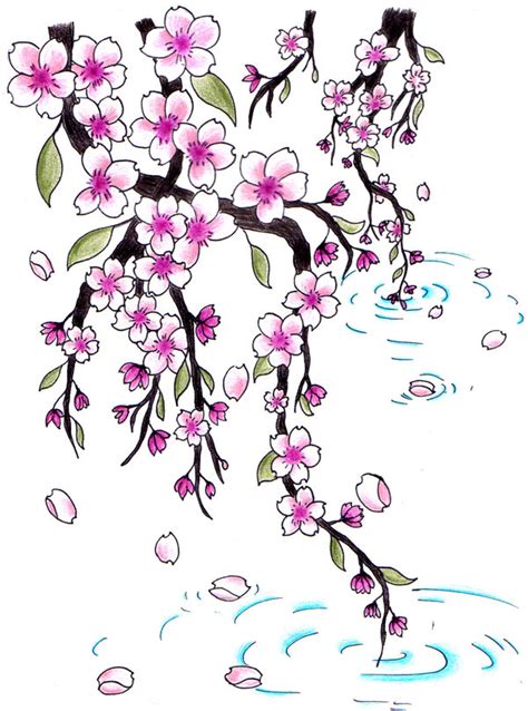 Japanese Cherry Blossoms Drawing At Getdrawings Free Download