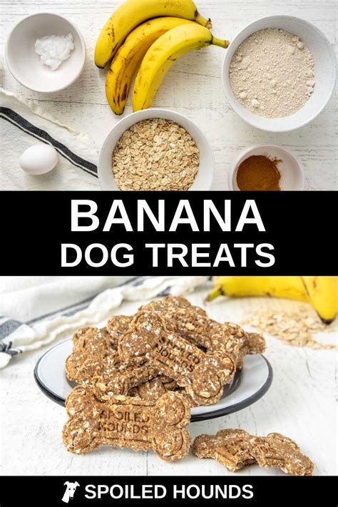 Homemade Banana Dog Treats Spoiled Hounds