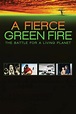 A Fierce Green Fire Pictures - Rotten Tomatoes
