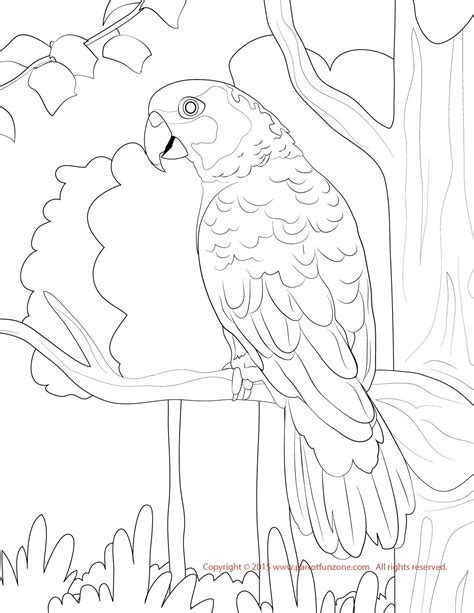 Kea Download Coloring Pages