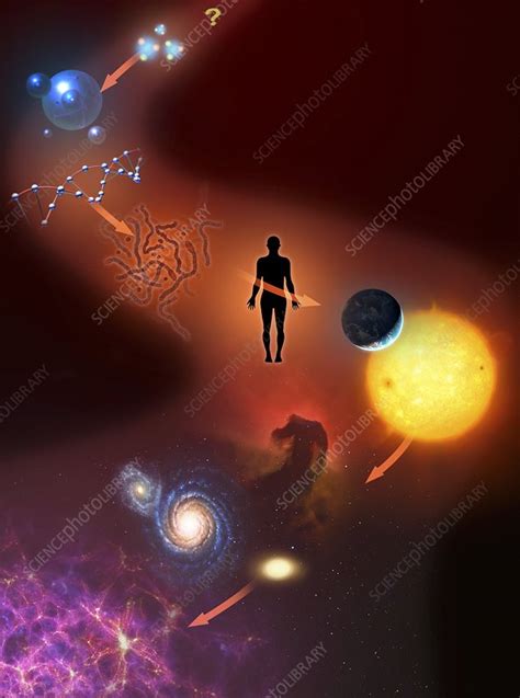 Scale Of The Universe Illustration Stock Image F0341775 Science