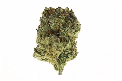 Afghani Kush Cannabis Strains Indica Relaxed Effect