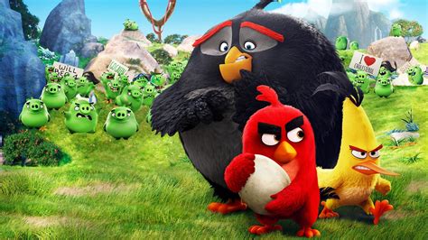Movie The Angry Birds Movie Hd Wallpaper