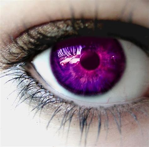 Purple Eye Rare Eye Colors Violet Eyes Aesthetic Eyes