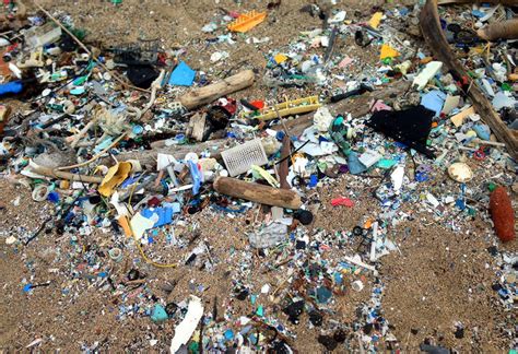 Epa Finds Plastic Trash Contaminates 2 Remote Hawaii Beaches West