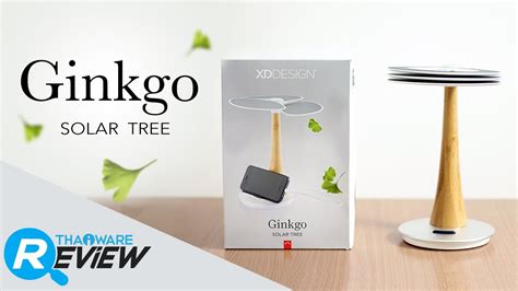 รีวิว Ginkgo Solar Tree ชาร์จมือถือด้วยพลังธรรมชาติ จาก Xd Design Youtube