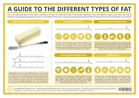 A Guide To The Different Types Of Fat Compound Interest