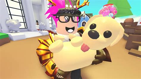 Pets were released in the june 2019 update (summer update); All The Pets In Adopt Me Roblox Game | StrucidCodes.com