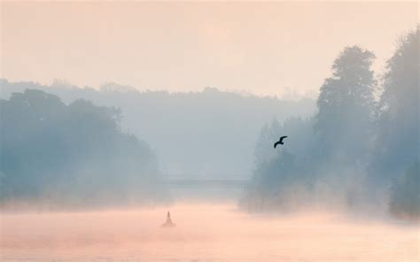 Morning Lake Mist Bird Landscape Wallpapers Hd Desktop And Mobile