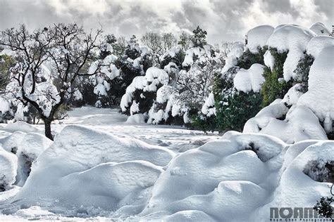 20 Spectacular Sights From The Israeli Winter And Spring Nature