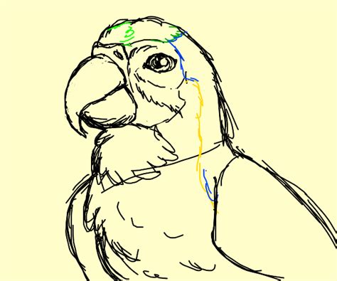 Parrot Drawception
