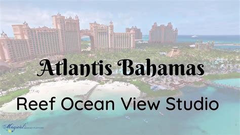 Reef Ocean View Studio Atlantis Bahamas Youtube