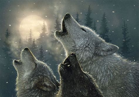 White Wolf Fabulous Wolf Paintings Of Collin Bogle Photos Video