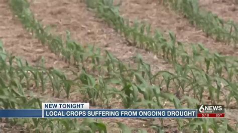 Severe Drought Across Nebraska Impacting Heartland Farmers Youtube