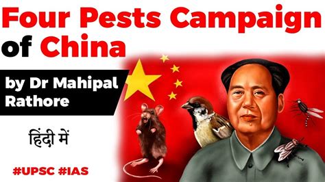 Four Pests Campaign Of China Explained Mao Zedongs Hygiene Campaign