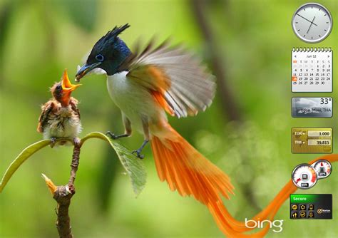49 Bing Wallpaper Changes Daily Automatically On