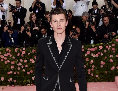 Shawn Mendes from 2019 Met Gala Red Carpet Fashion | E! News