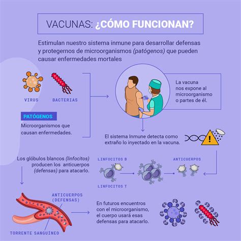 Cuáles Son Y Cómo Funcionan Los Tipos De Vacunas Para El Covid 19