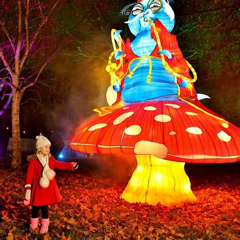 Walk Through A Garden Of Alice In Wonderland Lanterns In This London