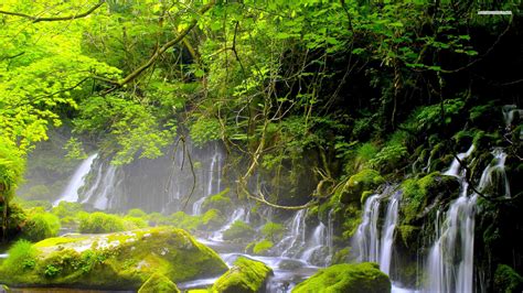 Download Nature Green Moss Waterfall Hd Wallpaper
