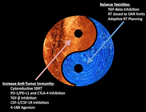Frontiers The Yin And Yang Of Cytoreductive Sbrt In Oligometastases And Beyond