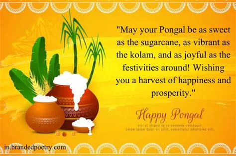 Happy Pongal Festival Wishes 2024 Pongal Greeting Quotes