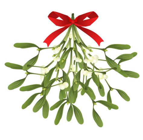 Hanging Mistletoe Illustrations Royalty Free Vector Graphics And Clip