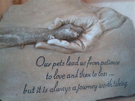 Pet Quotes Dog Death Image Quotes At