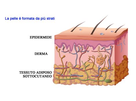 Gli Strati Della Pelle Associazione Melanoma Italia Onlus