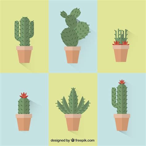 Collection Of Cactus Vector Free Download