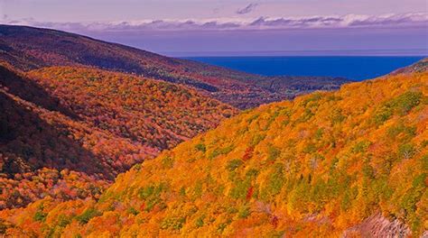8 Spectacular Places To See Fall Foliage Visit