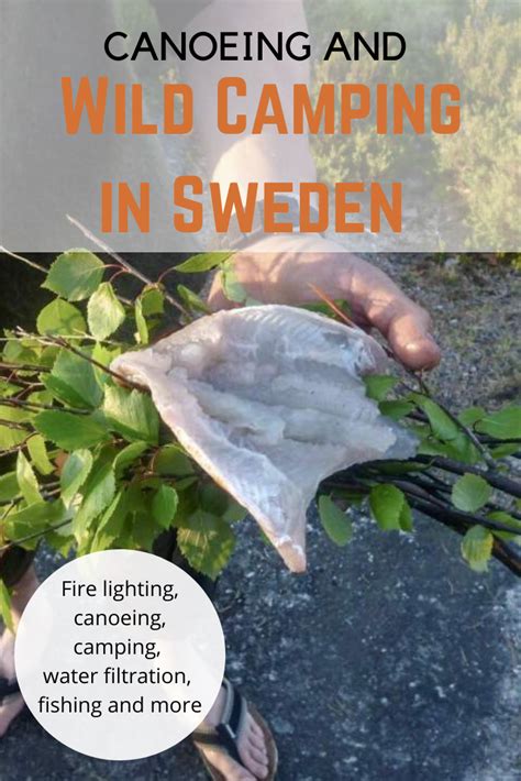 Wild Camping And Bushcraft In Sweden