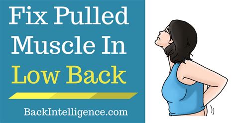 Pulled Muscle In Lower Back Best Treatments And Exercsies Pulled Back Muscle Treatment