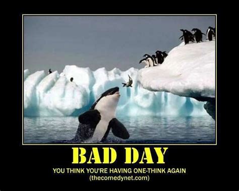 Bad Day Motivational Posters Demotivational Posters Funny