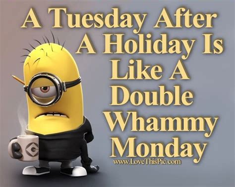 A Tuesday After A Holiday Is Like A Double Whammy Monday Pictures