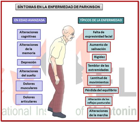 Alteraciones Cognitivas En La Enfermedad De Parkinson Psicología
