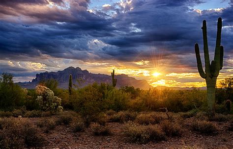 Check spelling or type a new query. A Sonoran Desert Sunrise Photograph by Saija Lehtonen