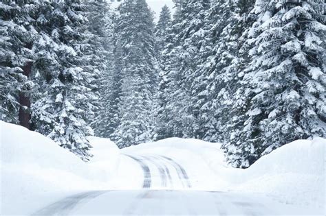 Snowy Road With Icy Conditions Stock Photo Image Of Outside Wild