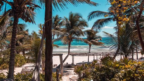 Download Wallpaper 1920x1080 Beach Palms Summer Tropics