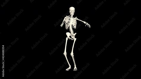 Dancing Skeleton 3d 3d Skeleton Dance Animation Skeleton 3d Dance 4k