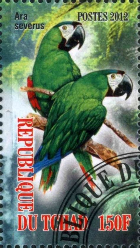 Pin De Ken Kemp En Birds Sellos Postales Sellos Estampilla Postal