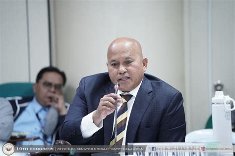 Vera Files Fact Check Dela Rosa’s Statement On Icc Complementarity Principle Is Misleading
